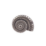 Ammonite Fossil CGHL0027