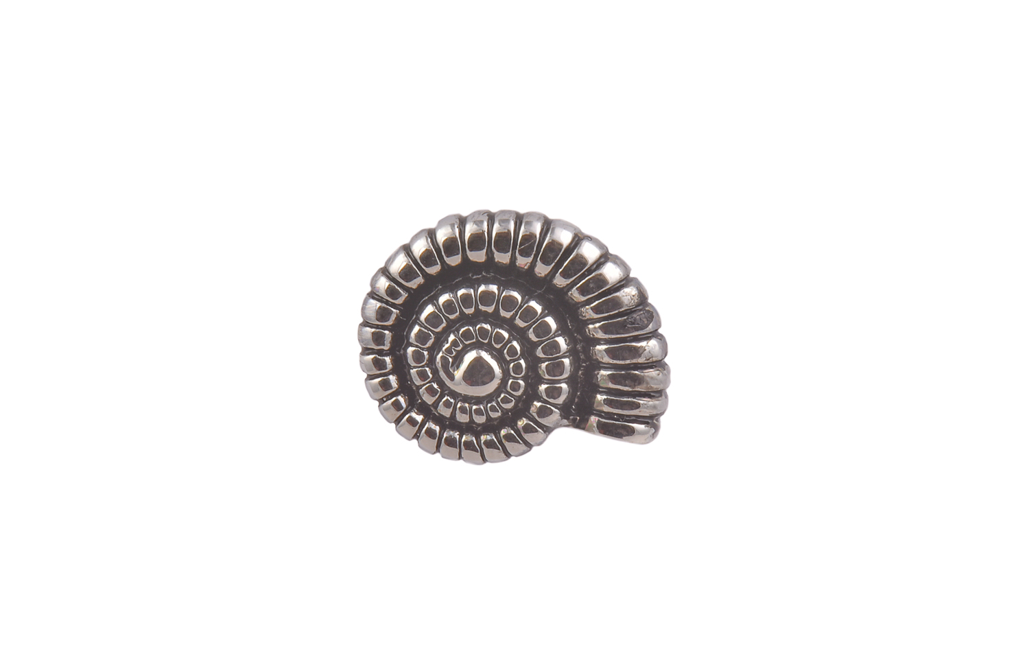 Ammonite Fossil CGHL0027