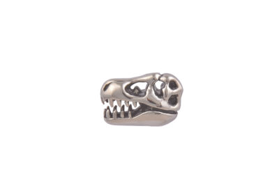 Dinosaur Skull CGHL0043