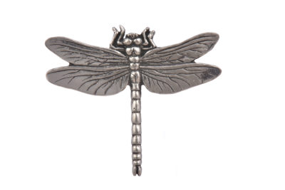 Dragonfly CGHL0046