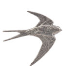 Swallow Bird CGHL0050