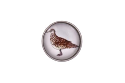 Seagull Bird Lapel Pin Badge