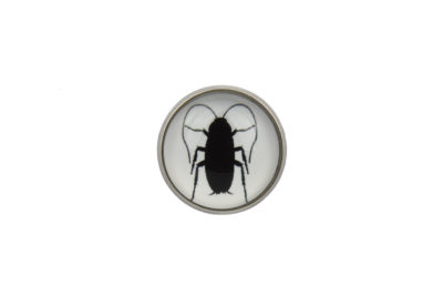 Cockroach Silhouette Lapel Pin